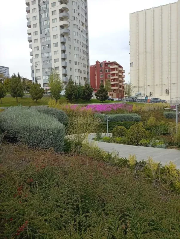 Satılır 2 otaqlı mənzil 65 m²