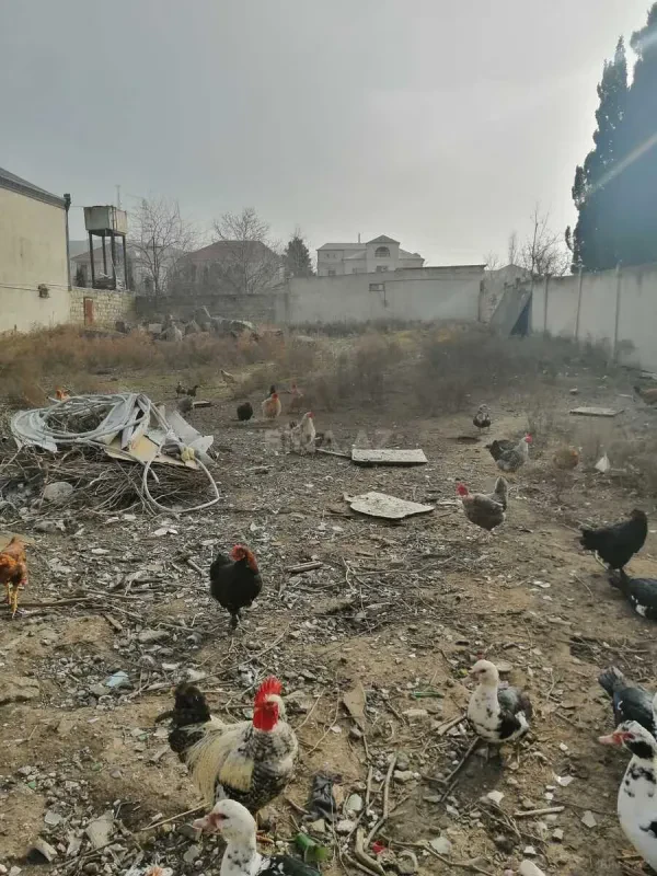 Satılır torpaq sahəsi 8 m²