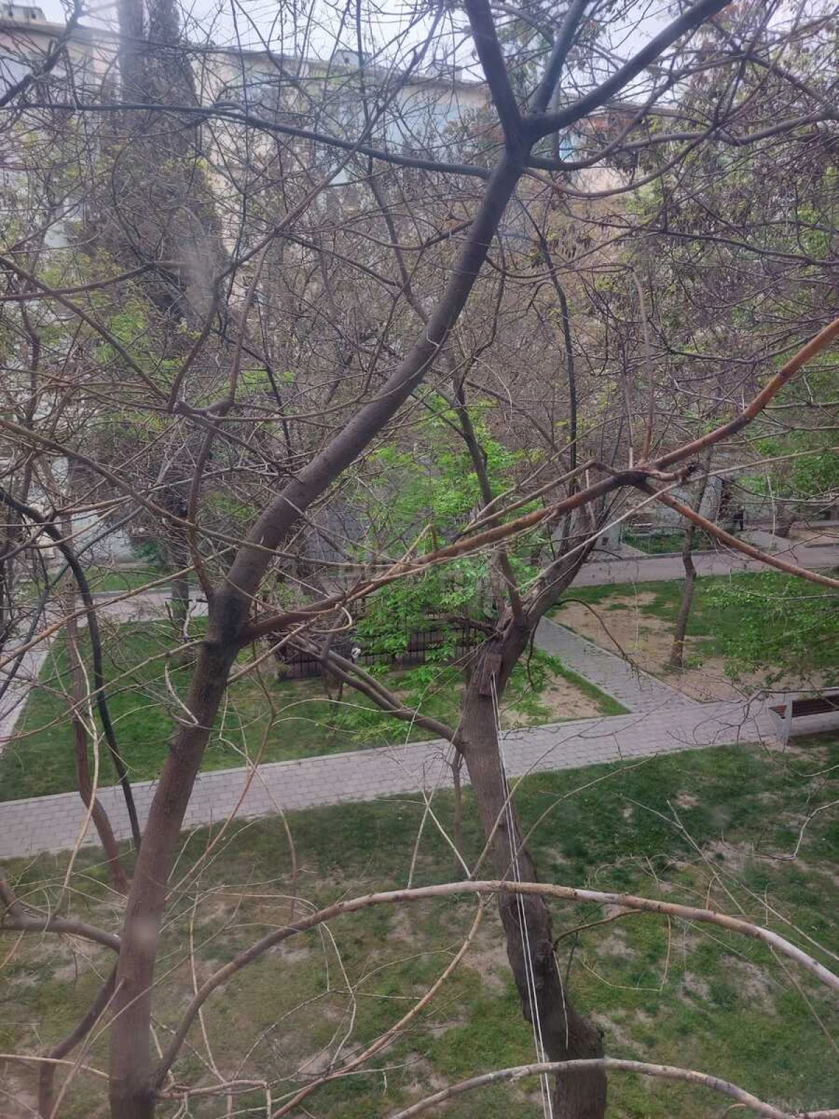 Satılır 2 otaqlı mənzil 43.5 m²
