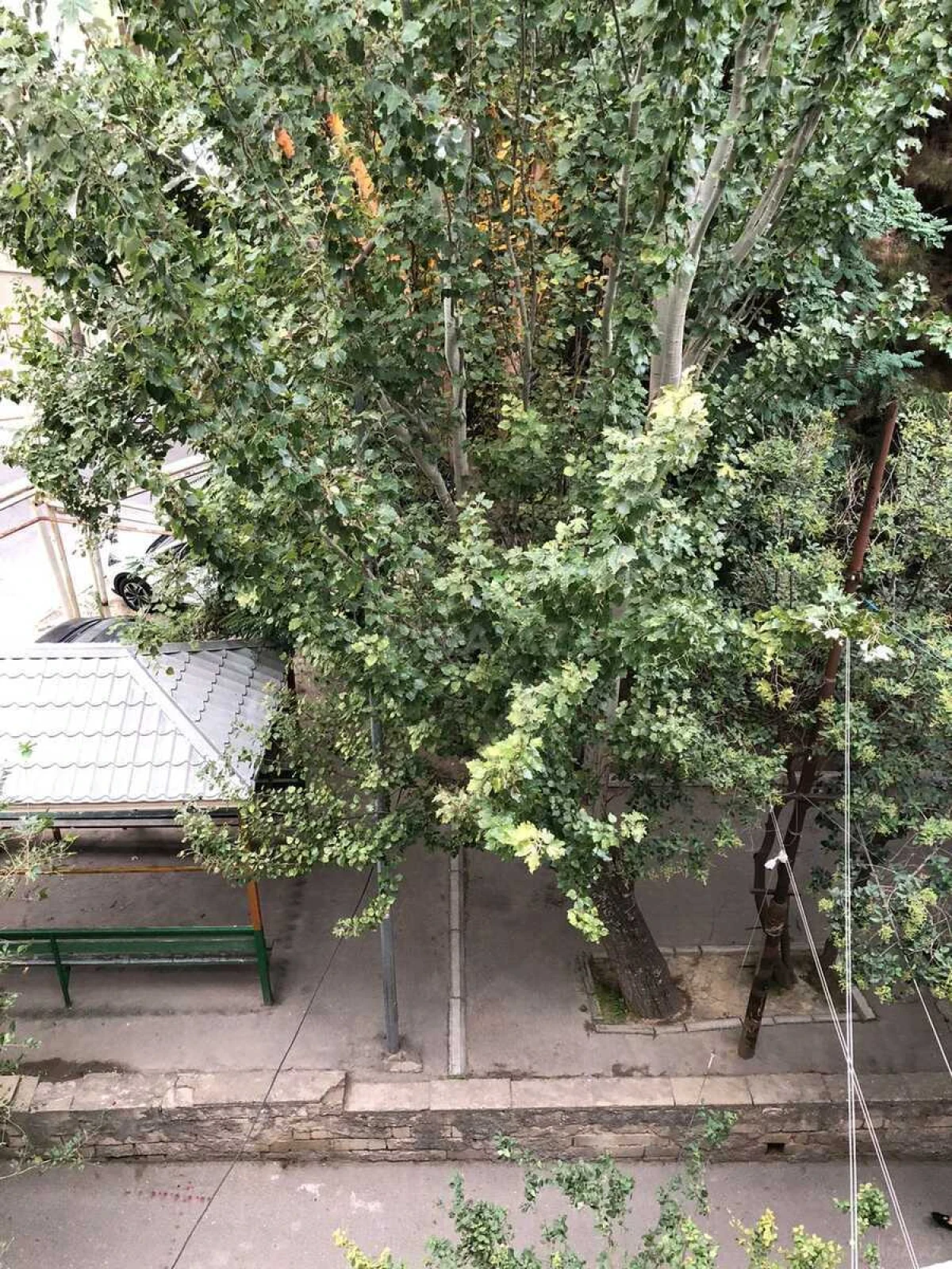 Satılır 3 otaqlı mənzil 65 m²