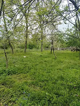 Satılır torpaq sahəsi 8 m² — Qəbələ 8.00 m²