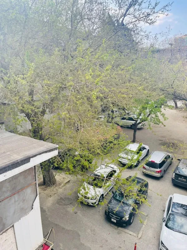 Kirayə verilir 2 otaqlı mənzil 55 m²
