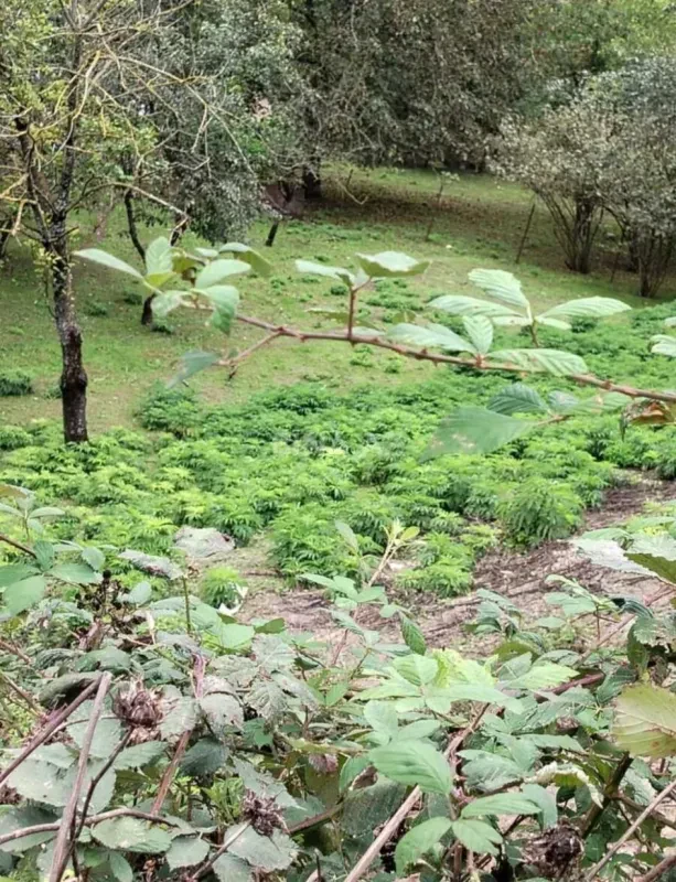 Satılır torpaq sahəsi 10 m²