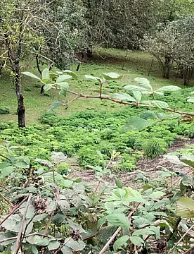 Satılır torpaq sahəsi 10 m² — Quba 10.00 m²