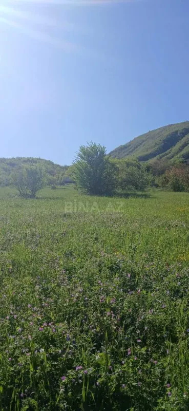 Satılır torpaq sahəsi 60 m²