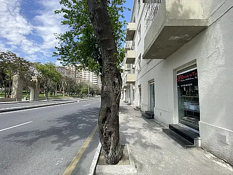 Satılır obyekt 200 m² — Bakı, Nəsimi 200.00 m²