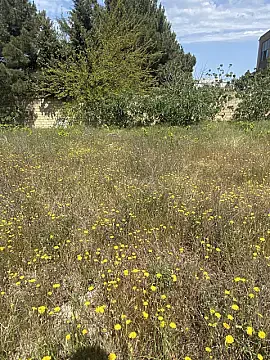 Satılır torpaq sahəsi 5 m² — Bakı, Novxanı 5.00 m²