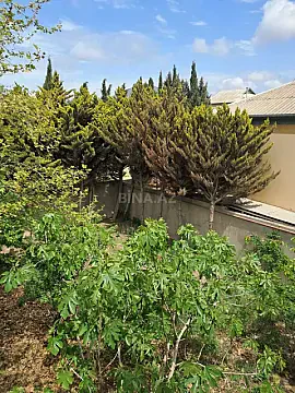 Satılır 6 otaqlı həyət evi 200 m²