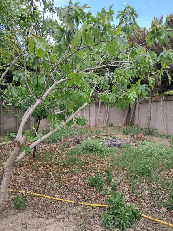 Satılır 6 otaqlı həyət evi 200 m²