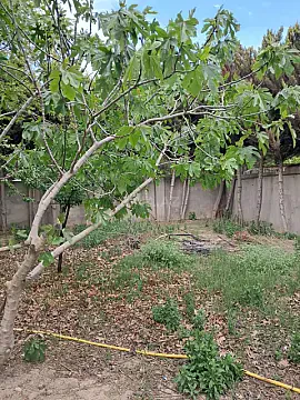 Satılır 6 otaqlı həyət evi 200 m²