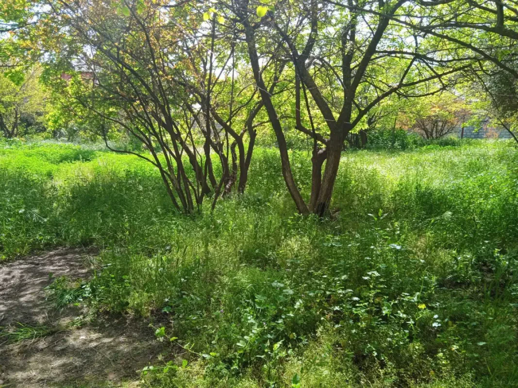 Satılır torpaq sahəsi 30 m²
