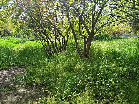 Satılır torpaq sahəsi 30 m² — Bakı 30.00 m²