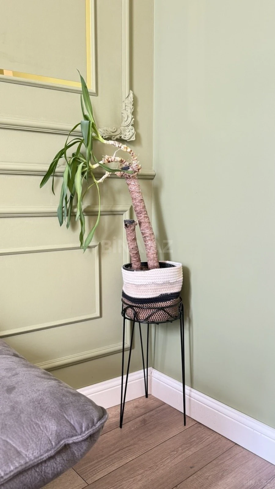 Kirayə verilir 2 otaqlı mənzil 85 m²
