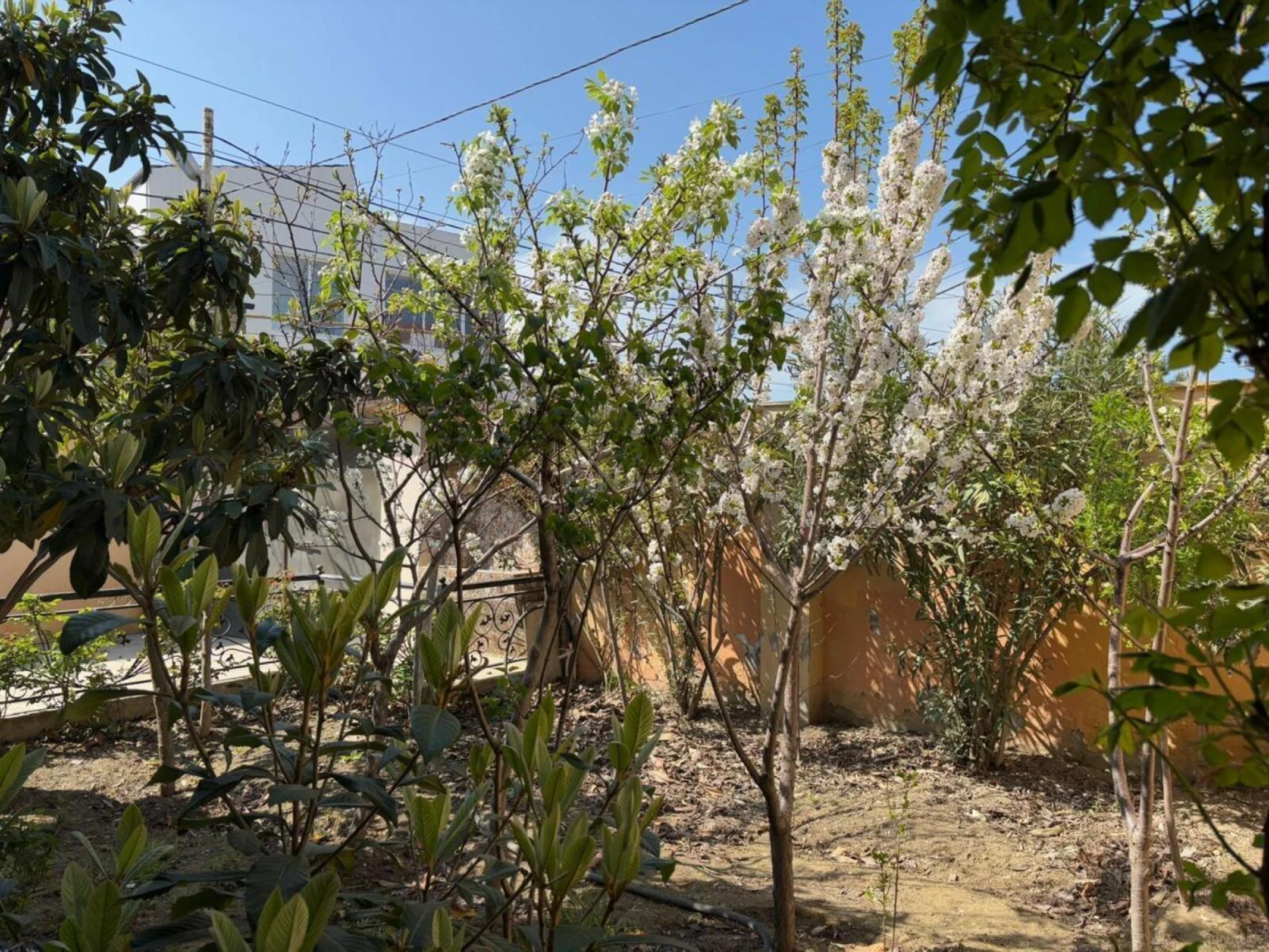 Kirayə verilir 5 otaqlı həyət evi 250 m²