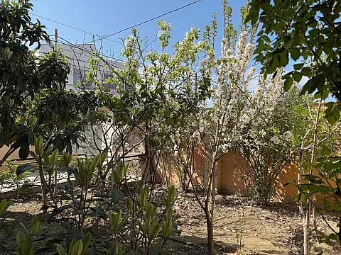 Kirayə verilir 5 otaqlı həyət evi 250 m²