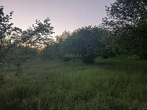 Satılır torpaq sahəsi 35 m² — Qəbələ 35.00 m²