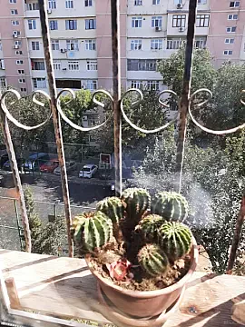 Satılır 3 otaqlı mənzil 85 m²