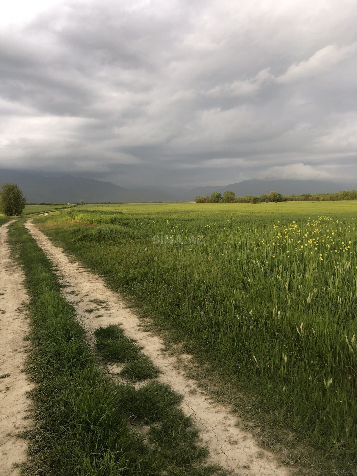 Satılır torpaq sahəsi 35000 m² — Sabirabad 35000.00 m²
