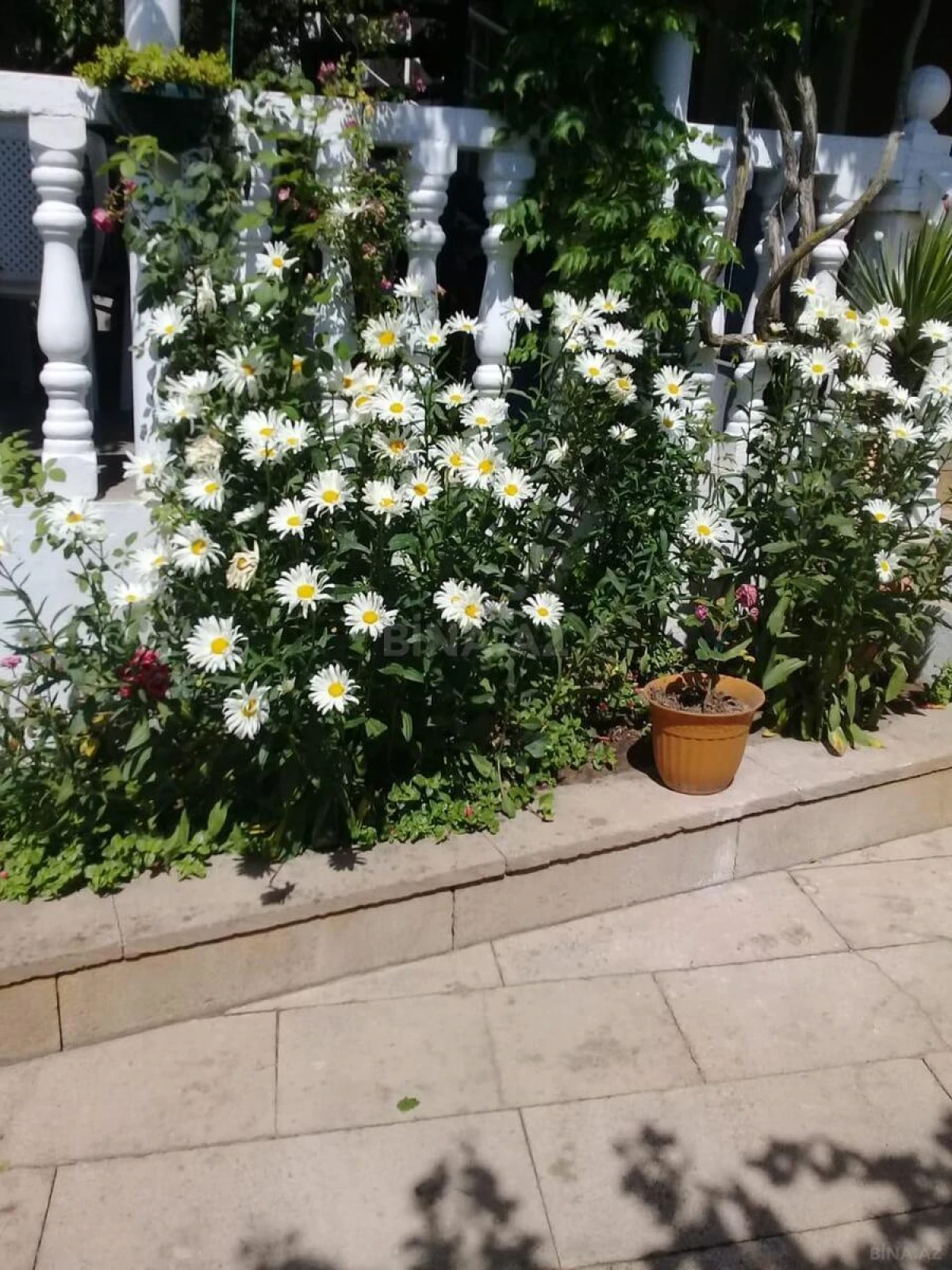 Satılır 8 otaqlı həyət evi 300 m²