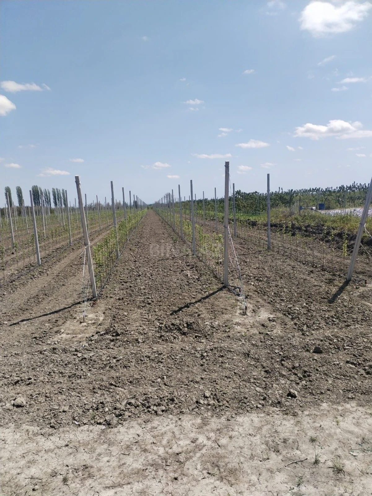 Satılır torpaq sahəsi 130 m²