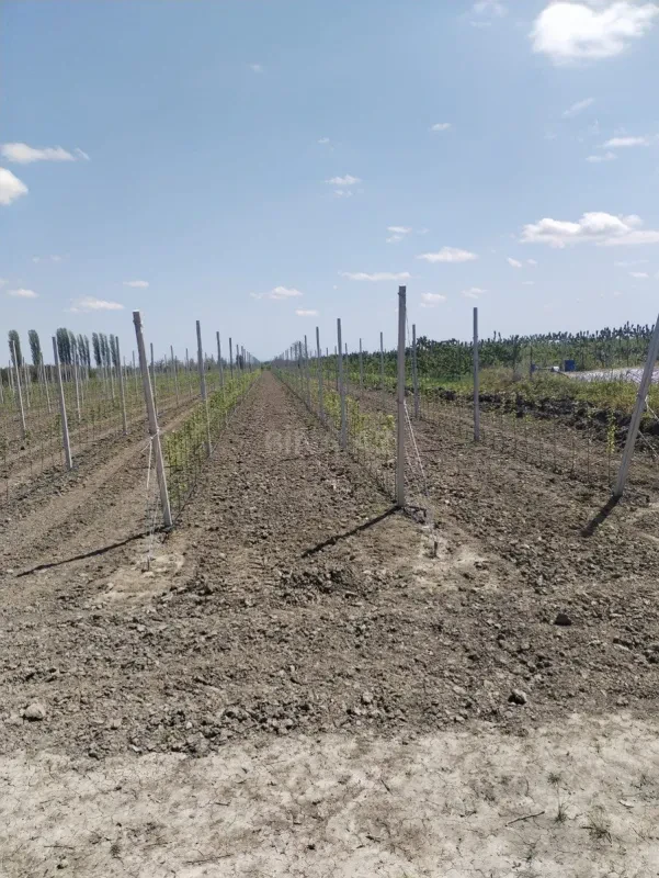 Satılır torpaq sahəsi 130 m²