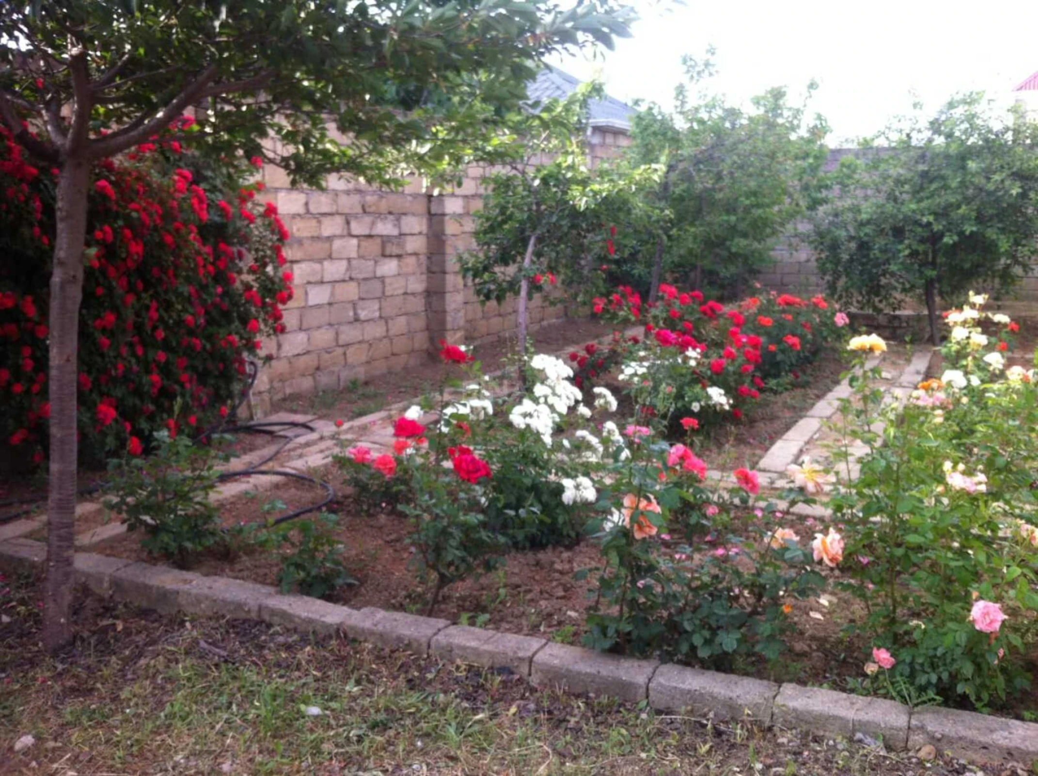 Satılır 7 otaqlı həyət evi 320 m²