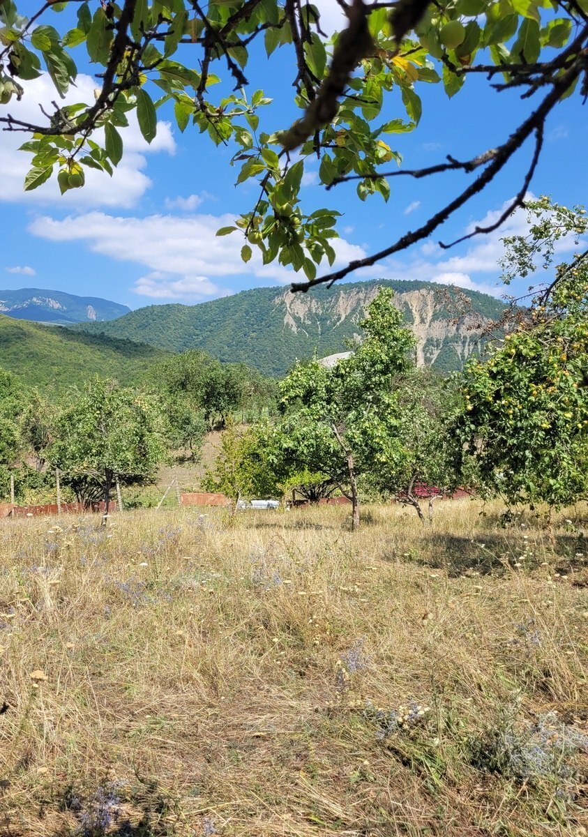 Satılır torpaq sahəsi 27 m² — İsmayıllı 27.00 m²