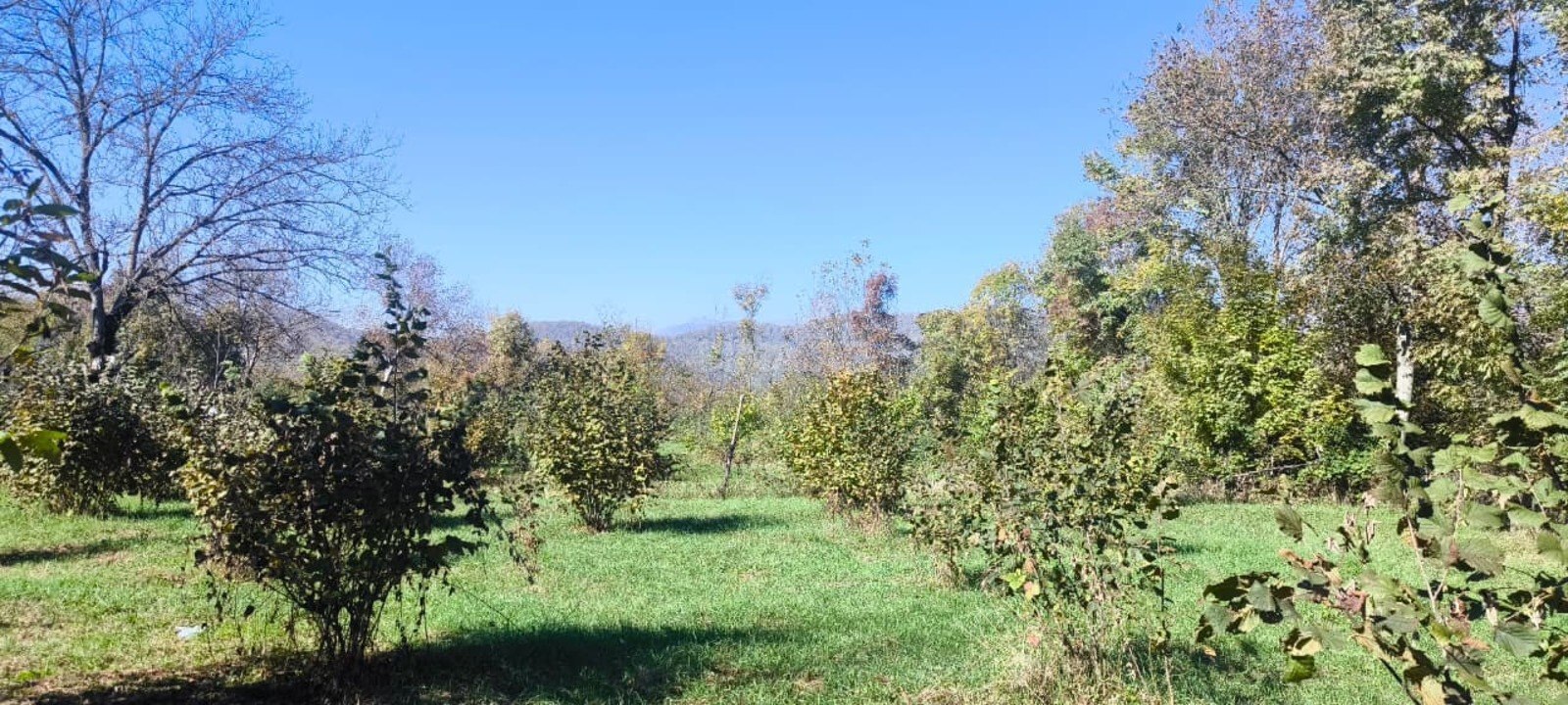 Satılır torpaq sahəsi 9 m² — Qəbələ 9.00 m²