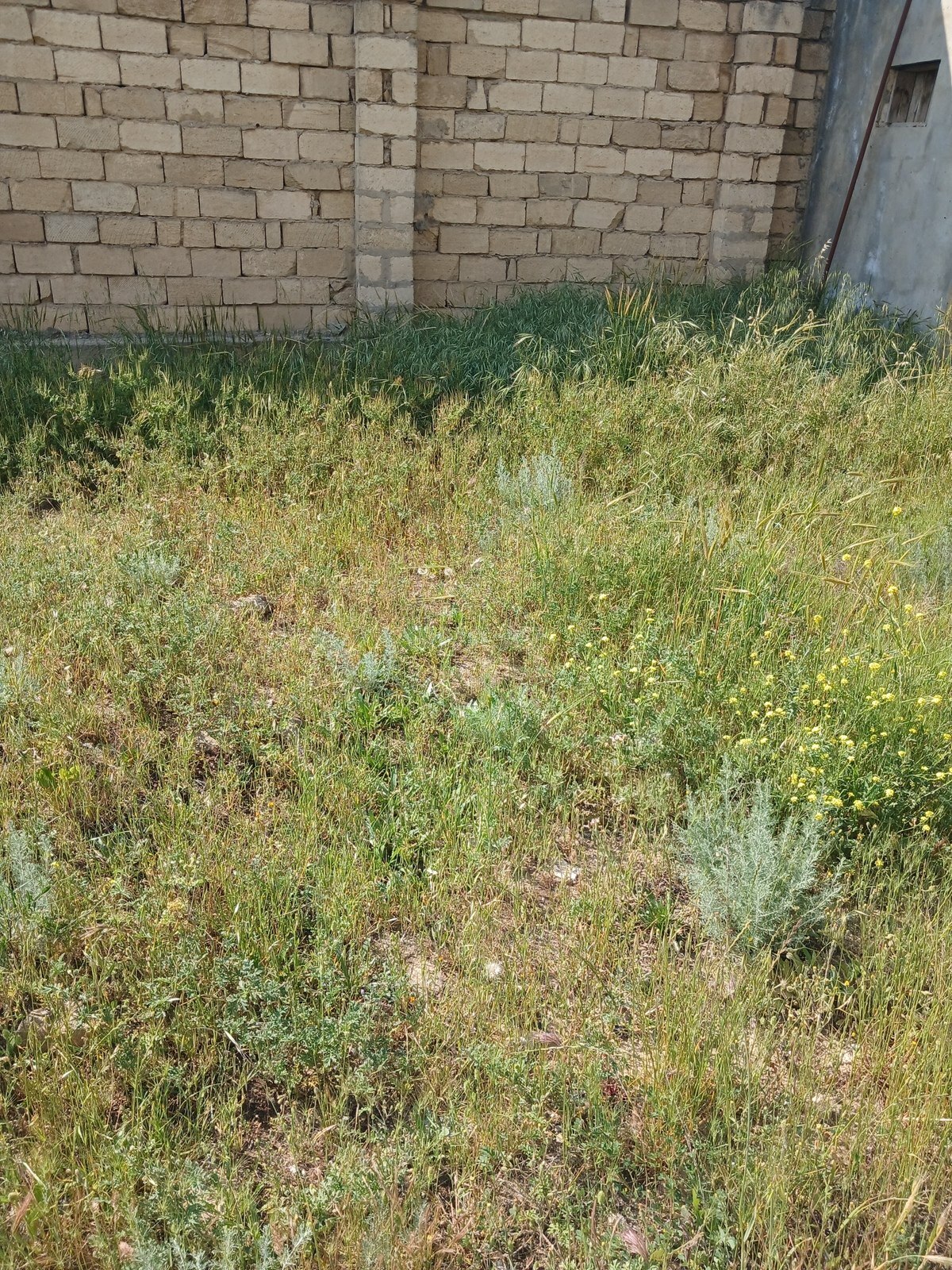 Satılır torpaq sahəsi 3 m² — Bakı, Badamdar 3.00 m²