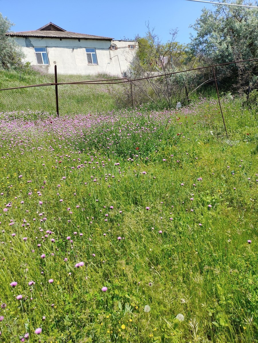 Satılır torpaq sahəsi 10 m² — Bakı 10.00 m²