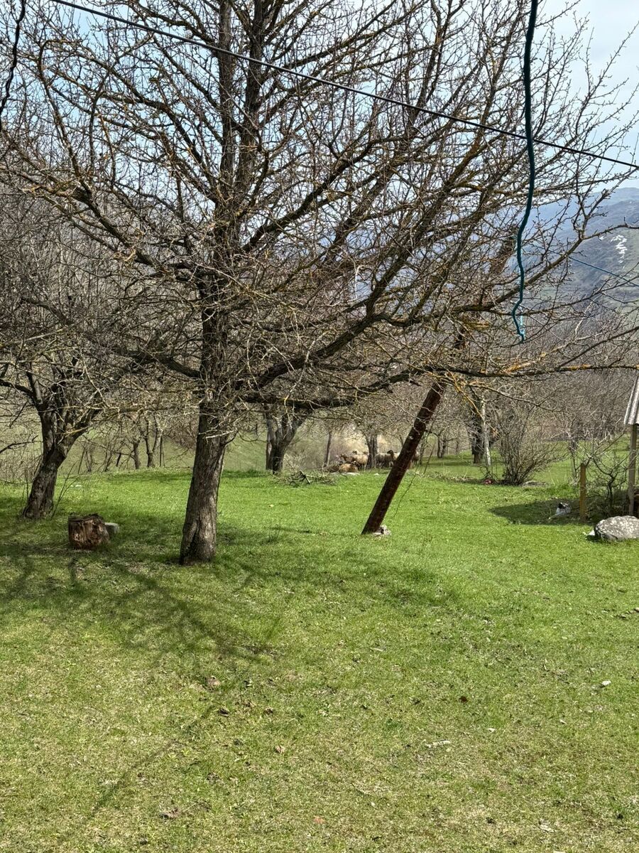Satılır 6 otaqlı həyət evi 120 m² — Lerik 6 otaq 120.00 m²