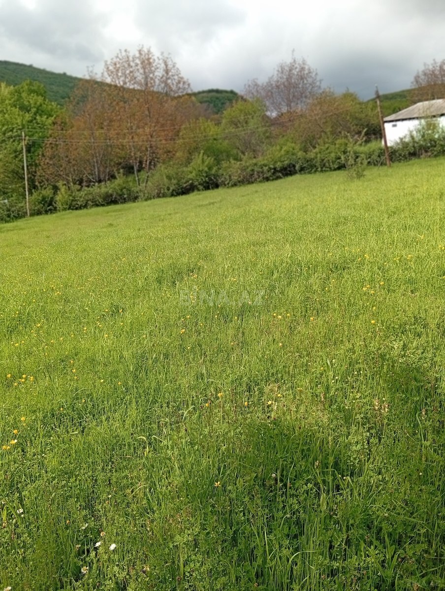 Satılır torpaq sahəsi 12 m² — İsmayıllı 12.00 m²