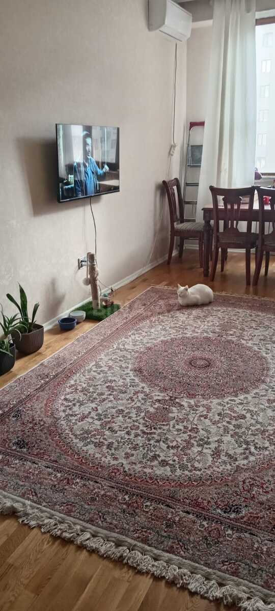 Kirayə verilir 2 otaqlı mənzil 65 m² — Bakı 2 otaq 65.00 m²