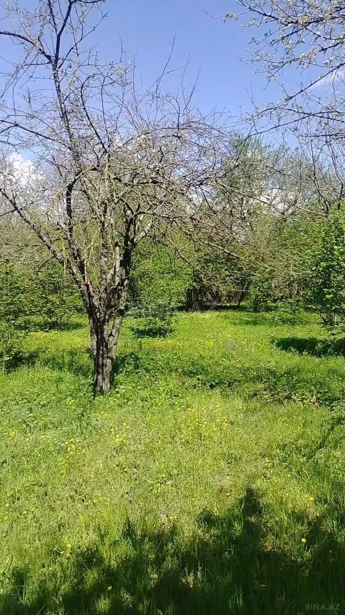 Satılır torpaq sahəsi 30 m² — Qəbələ 30.00 m²