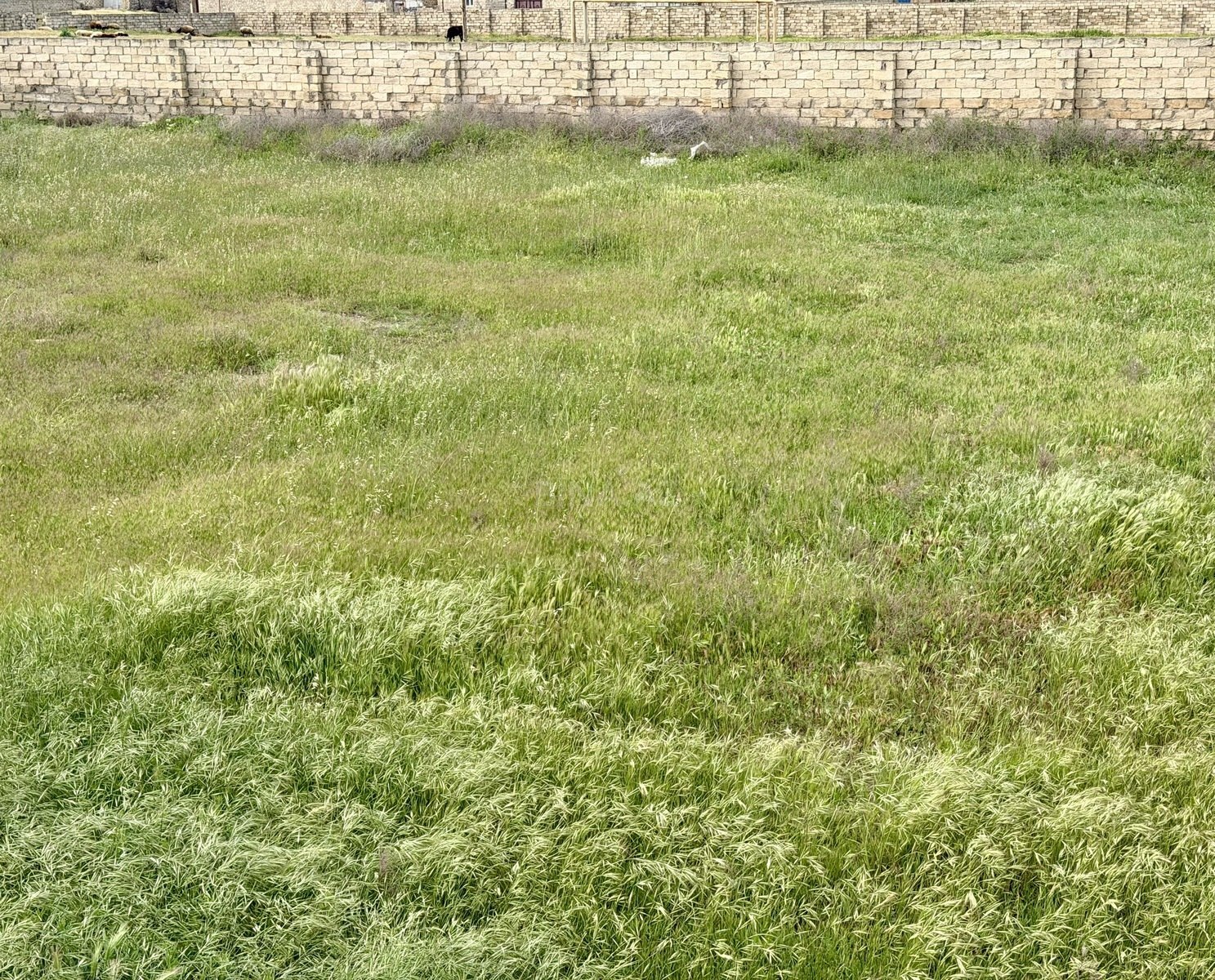 Satılır torpaq sahəsi 20 m² — Bakı, Bilgəh 20.00 m²