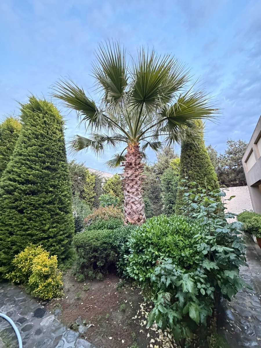 Kirayə verilir 4 otaqlı həyət evi 220 m² — Bakı, Mərdəkan 4 otaq 220.00 m²