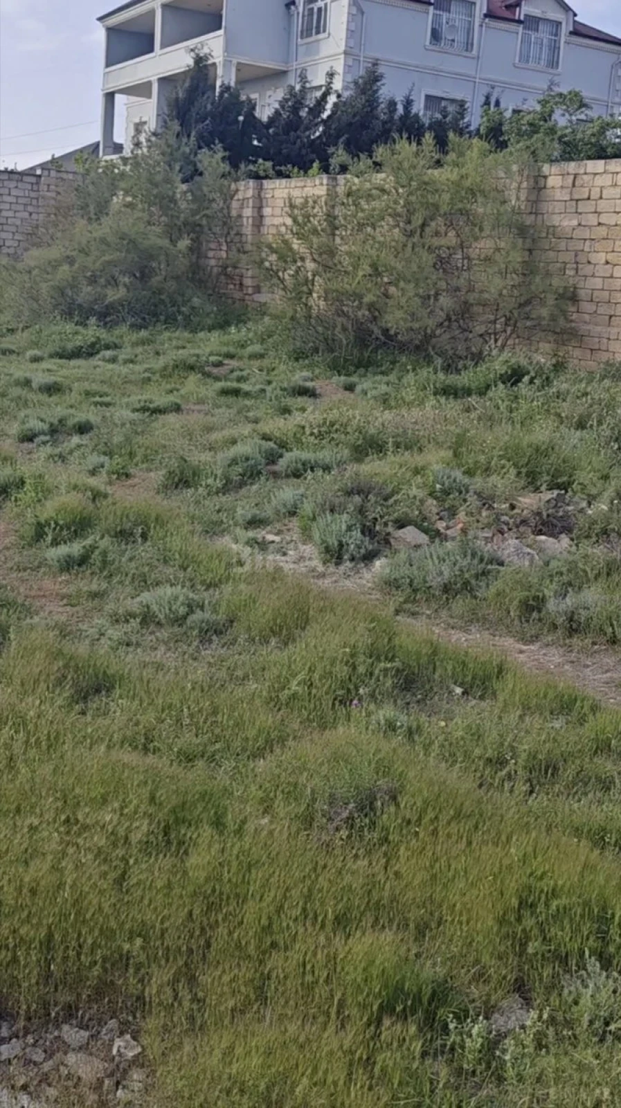 Satılır torpaq sahəsi 50 m²