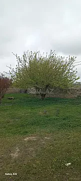 Satılır torpaq sahəsi 9 m² — Bakı, Saray 9.00 m²
