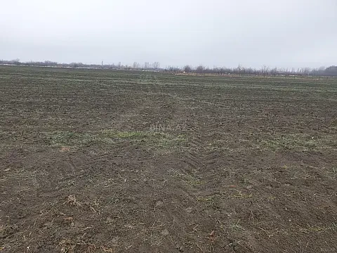 Satılır torpaq sahəsi 180 m² — Qusar 180.00 m²