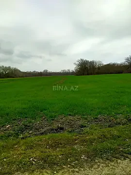 Satılır torpaq sahəsi 300 m² — Xaçmaz 300.00 m²