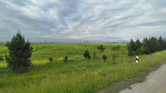 Satılır torpaq sahəsi 5500 m² — Goranboy 5500.00 m²