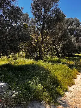Satılır torpaq sahəsi 25 m² — Bakı, Nəsimi 25.00 m²
