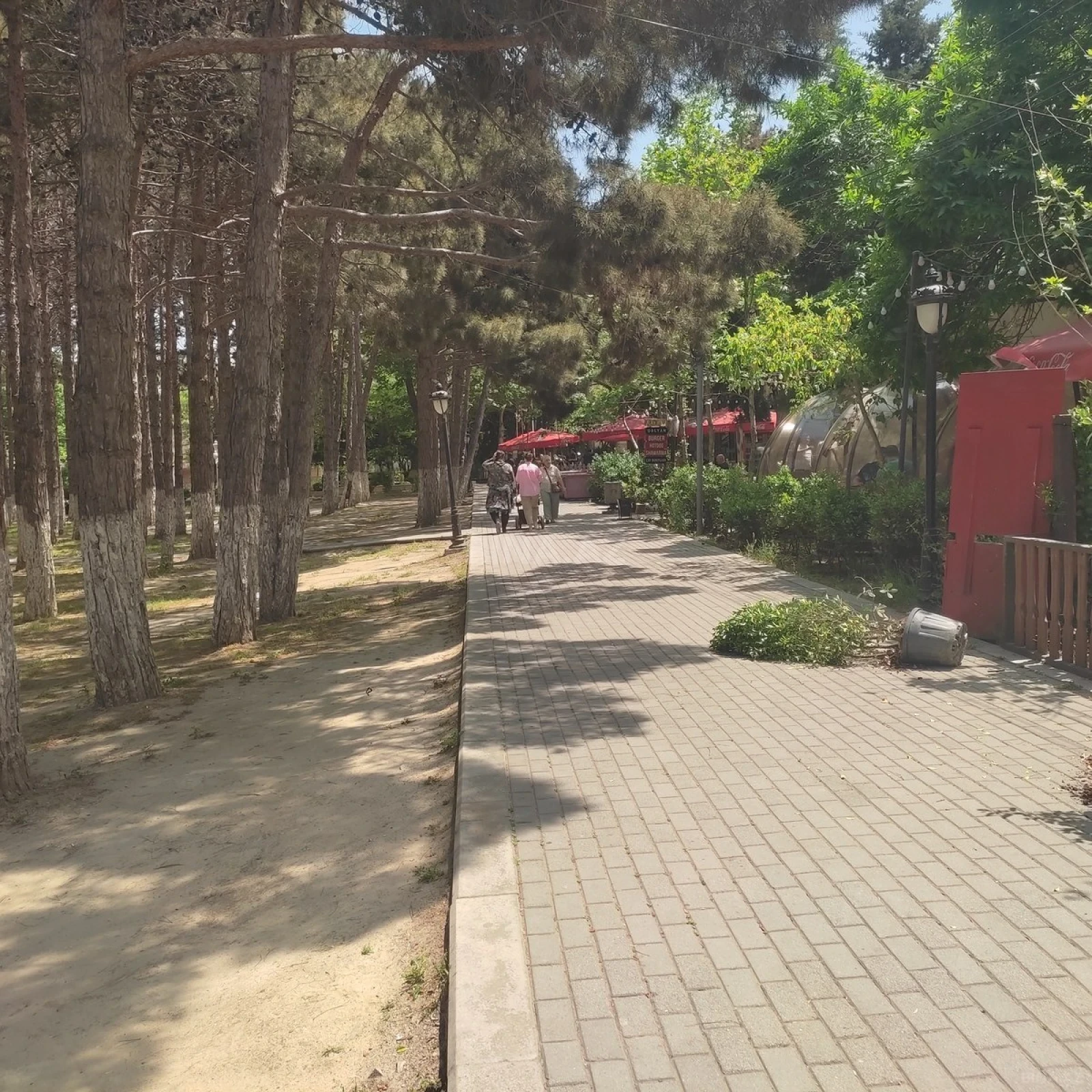 Kirayə verilir obyekt 255 m²