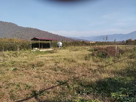 Satılır torpaq sahəsi 13 m² — Zaqatala 13.00 m²