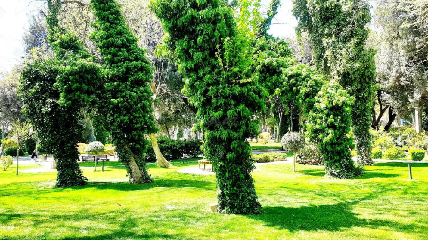 Satılır 4 otaqlı mənzil 165 m²