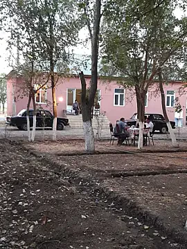 Satılır obyekt 1500 m² — Biləsuvar 1500.00 m²