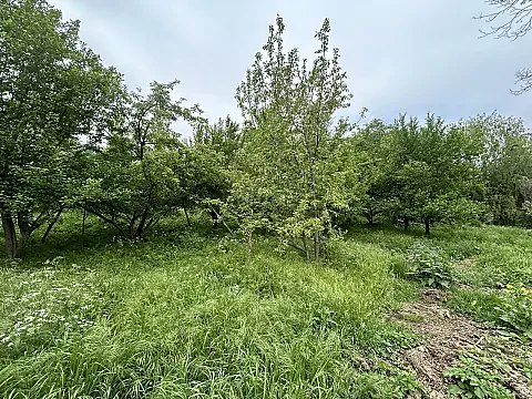 Satılır torpaq sahəsi 40 m² — Goranboy 40.00 m²