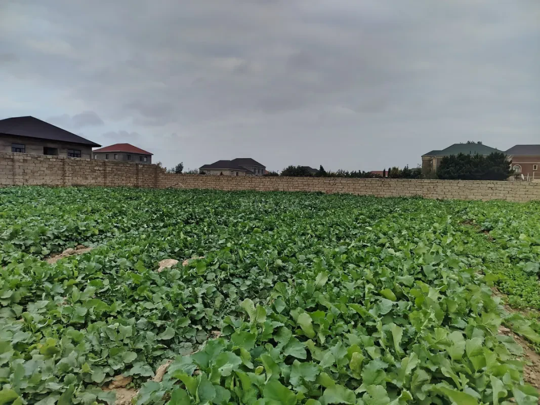 Satılır torpaq sahəsi 10 m²