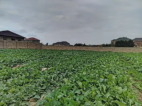 Satılır torpaq sahəsi 10 m² — Bakı, Binə 10.00 m²