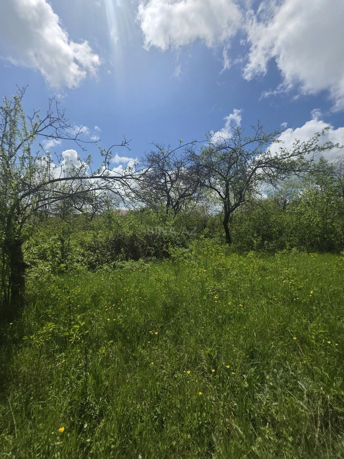 Satılır torpaq sahəsi 19 m²